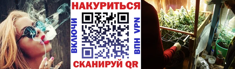 Канабис Калуга