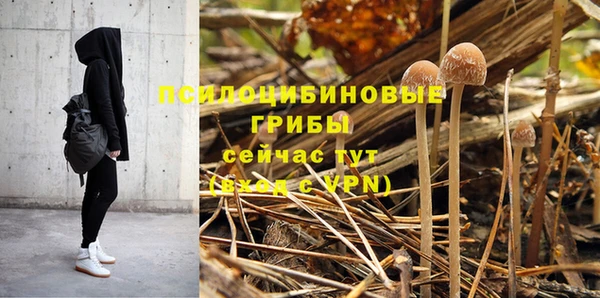 дурь Наволоки