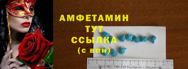 дживик Анжеро-Судженск