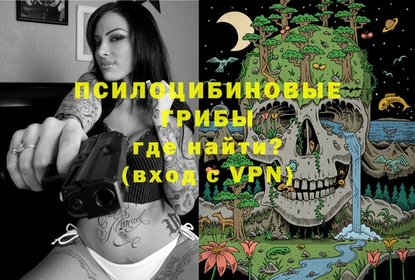 PSILOCYBIN Навашино