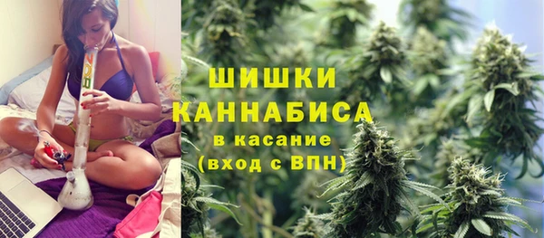 PSILOCYBIN Навашино