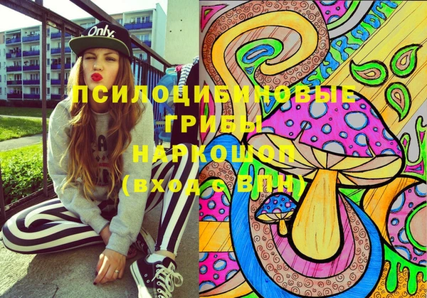 прущая мука Анива