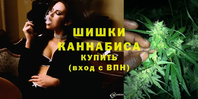 цена   Калуга  Марихуана Amnesia 