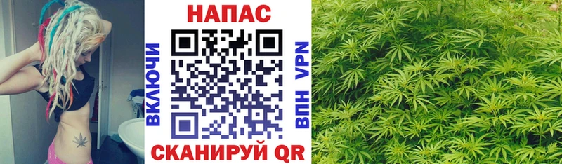 площадка официальный сайт Калуга Каннабис MAZAR